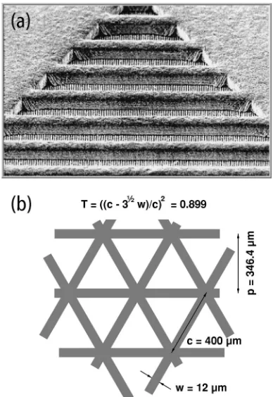 FIG. 9. �a� SEM showing a corner region of the coarse nickel mesh. Theﬁne nickel bars are the medium-sized horizontal structures and the muchsmaller gold grating bars can be seen as vertical white stripes below them.Note that the coarse mesh is the same he