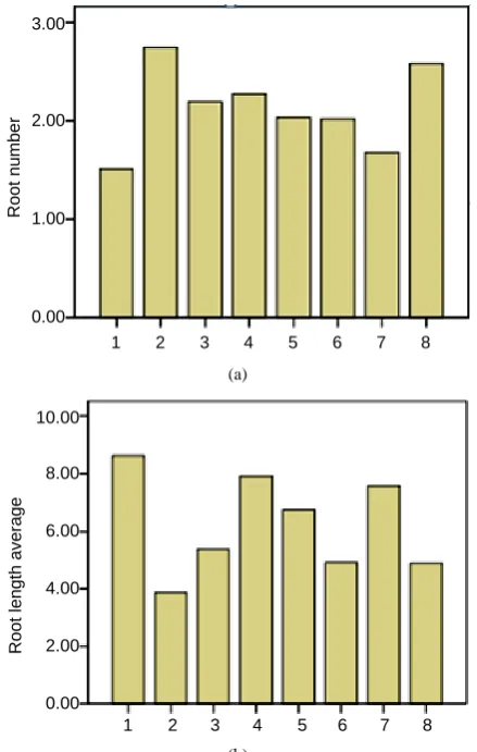 Figure 2. Effect of activated charcoal and growth regulators on root length. (a) Second treatment (without activated charcoal) results in the highest root number; (b) first treat- ment (activated charcoal) results in the highest root length