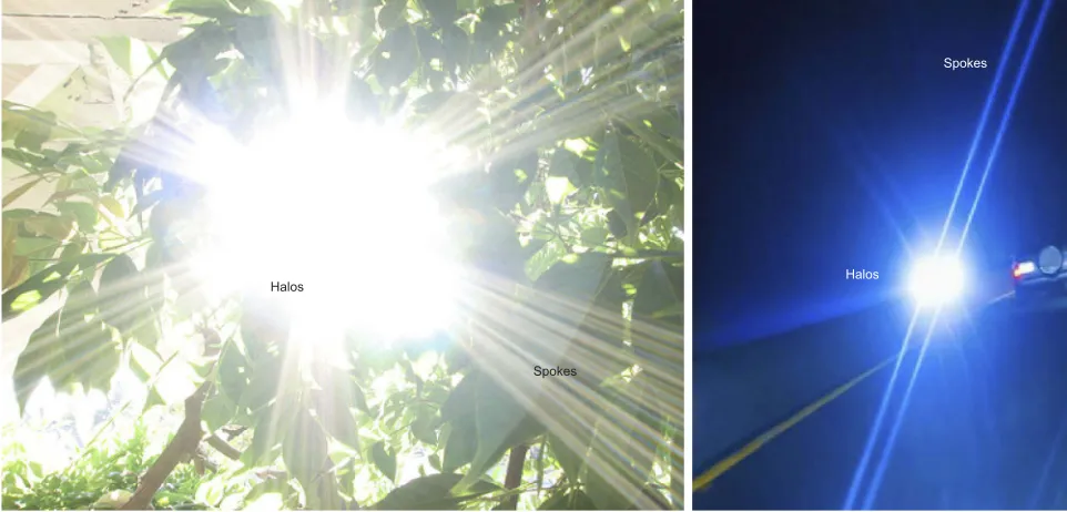 Figure 1 Illustration of visual disturbances: halos and spokes.