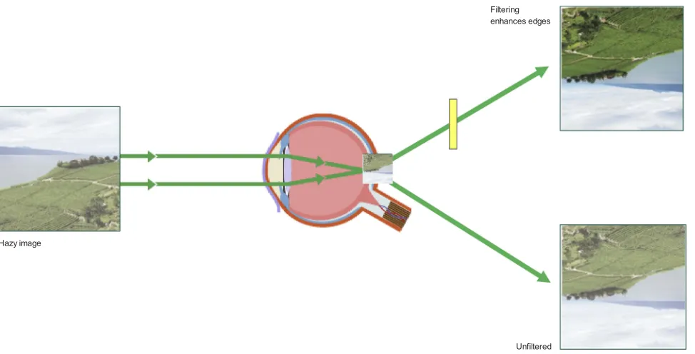 Figure 5 Blue light ﬁltration can enhance visibility under hazy conditions.