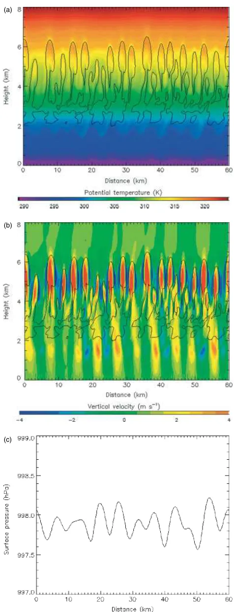 Figure 7. Model ﬁelds from the ‘increasing shear’ run at 9450 s, after a totaluplift of 810 m