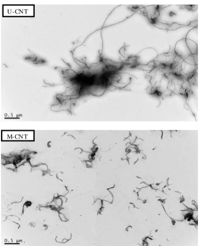 Table 2. XPS results of PI/MWNT composites. 