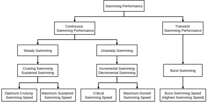 Figure 1. Classification of swimming performance of fishes. 