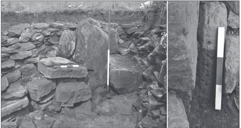 Figure 8.6: Left: the standing stone in the eastern forecourt area of  Structure 10 with associated cup-marked stones; right: detail of  cup-marked packing stone in standing stone socket