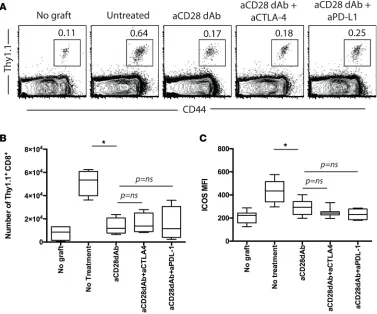 Figure 3. Neither CTLA-4 nor PD-L1 signals negatively regulate CD8+(1 × 10 memory T cell accumulation in the presence of CD28 blockade
