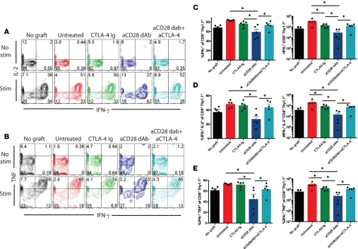 Figure 4. CTLA-4 coinhibitory signals control CD8+Data are representative of 3 independent experiments with a total of 10–15 mice per group
