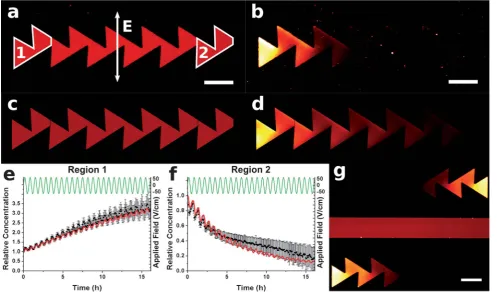 Fig. 3Plot showing the distancethe upper set of teeth, during the second half cycle, in the time taken forthe diffusion length to reach y1 moved by charged species towards w ¼ 70 mm