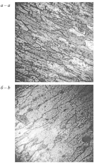 Fig. 1. The microstructure of AK6 cast alloy after   forging. Increase a – 100; b – 300 times 