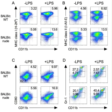 Figure 1. Expression of immune cells in BALB/c-nude mice. Splenocytes were isolated from spleen from BALB/c and BALB/c-nude mice after 24 h from i.p