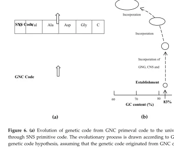 Figure 6. (a) Evolution of genetic code from GNC primeval code to the universal genetic code through SNS primitive code