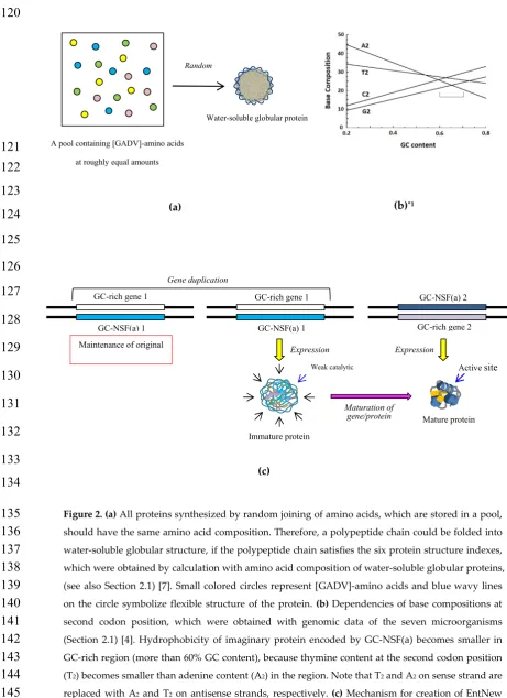 Figure 2. (a) All proteins synthesized by random joining of amino acids, which are stored in a pool, 