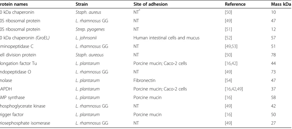 Table 4 List of proteins identified on the surface of L. rhamnosus GG that have been associated with adhesion to celllines, mucin and extracellular matrix components