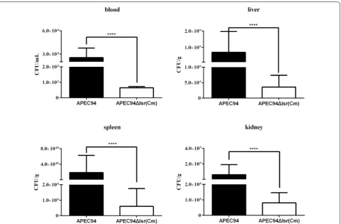 Table 4 Bacterial loads in ducks 