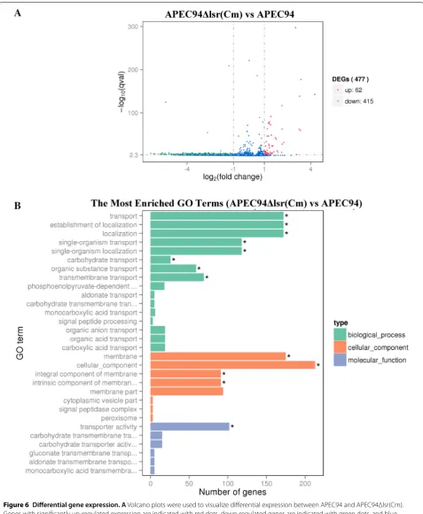 Figure 6 Differential gene expression. A Volcano plots were used to visualize differential expression between APEC94 and APEC94Δlsr(Cm)