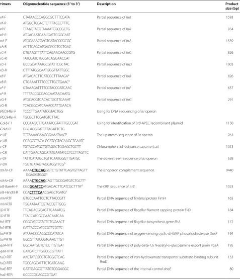 Table 2 Primers used in this study 