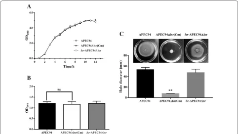 Figure 3 decrease rapidly at 4 h and at 8 h the AI-2 activity was nearly negative, while the activity of AI-2 in APEC94Δlsr(Cm) cell suspensions remained high during the 8 h (Influence of the lsr operon on the bacterial AI‑2 internalization curve