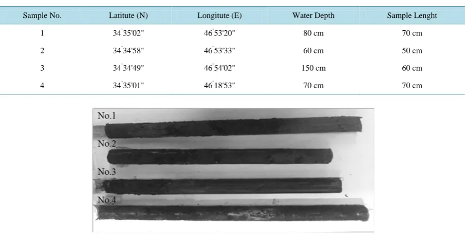 Figure 2. Core samples of underlay sediments from 4 different locations of Hashilan Wetland