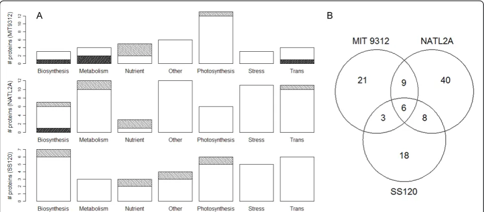 Figure 2 (A) Distribution of proteins identified in all three strains within functional categories (’Trans’ stands for ‘Transcription,translation and stress’)