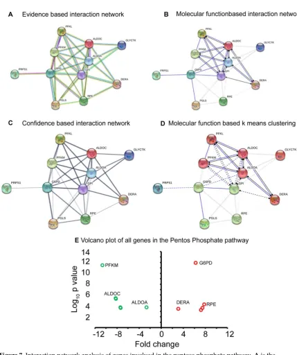 Figure 7. Interaction network analysis of genes involved in the pentose phosphate pathway