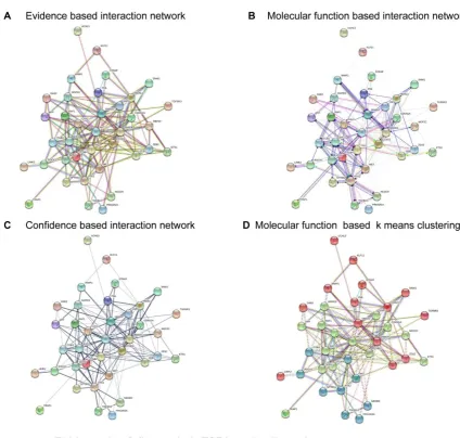 Figure 8. Interaction network analysis of genes involved in the TGF-beta signaling pathway