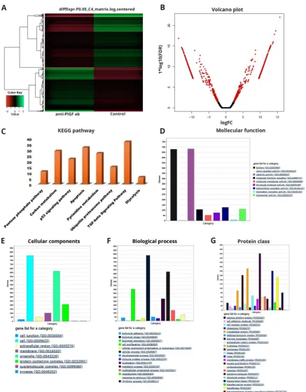 Figure 6. Gene expression profile in PlGF ab treated group relative to the control. A