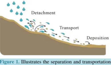 Figure 1. Illustrates the separation and transportation of grains of soil by rain [15]