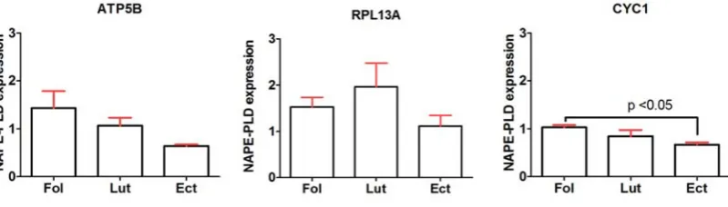 Figure 5. NAPE-PLD expression in human endometrium using each of the 12 candidate reference genes as internal control