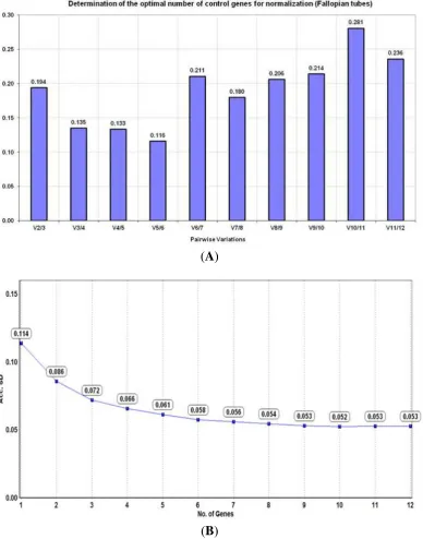 Figure 3. Determination of the optimal number of reference genes for normalization in fallopian tubes (n = 12) based on their (A) pairwise variation (V) analysis using the geNorm algorithm and (B) accumulated standard deviation (Acc