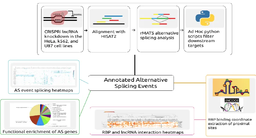 Figure 1. Depiction of the workflow and analysis conducted in this study. Automated scripts were developed to download data, align reads to the corresponding reference, and predict the alternative splicing events across samples