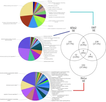 Figure 3. annotation of cell type specific gene sets that were affected by SE events. The lines connecting the corresponding gene sets across each cell type to respective functional annotation