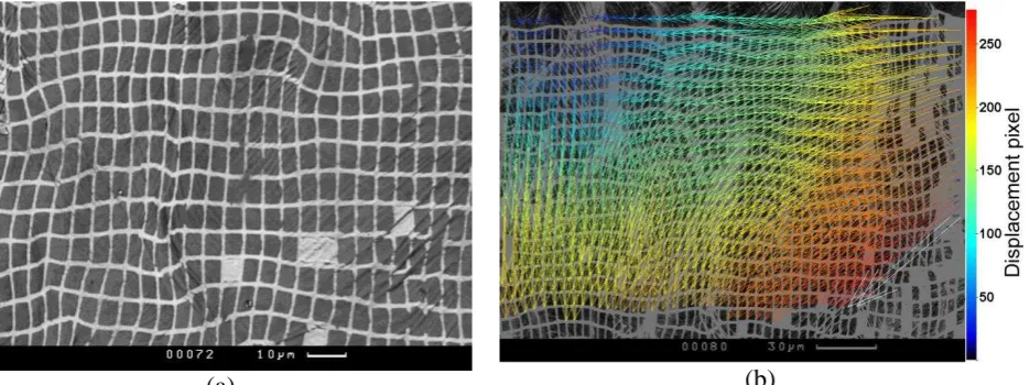 Fig.4 (a) localisation and local shear bands in the grains and (b) the displacement vector map obtained (a) micrograph of the deformed microstructure showing a severe deformation from the DIC analysis of the microstructure pattern 