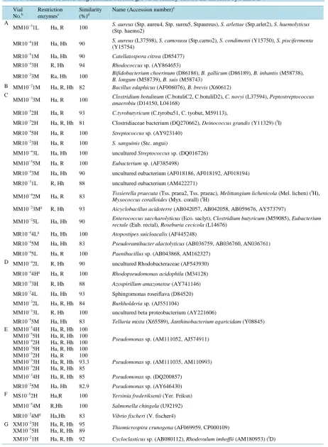 Table 3. Affiliation of multi drug resistant bacteria grown in serially diluted LB medium by MERFLa