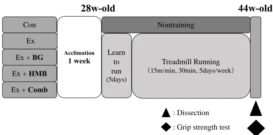Figure 1. Overview of the study design 