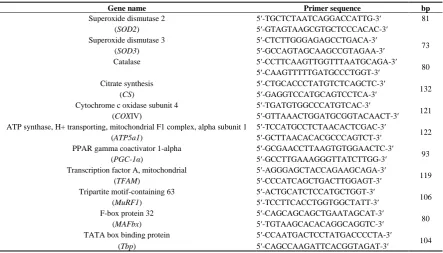 Table 1. List of primers used in this study. 
