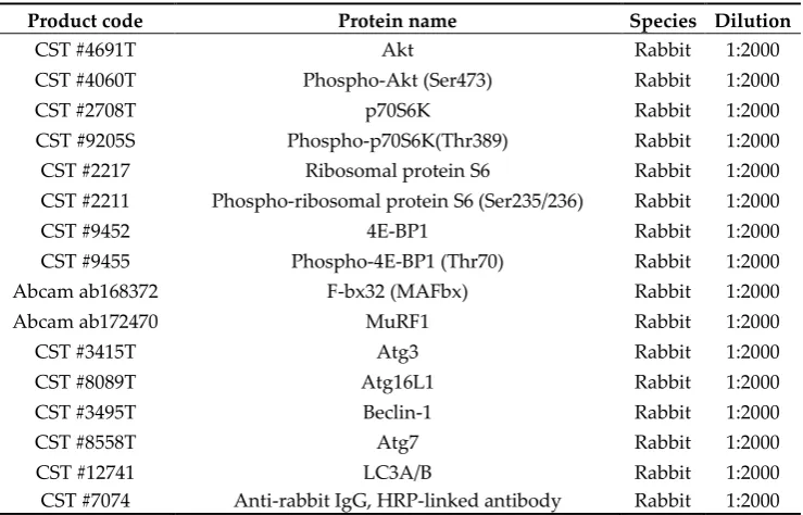 Table 2. List of antibodies used in this study. 
