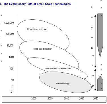Figure 1.  The Evolutionary Path of Small Scale Technologies  