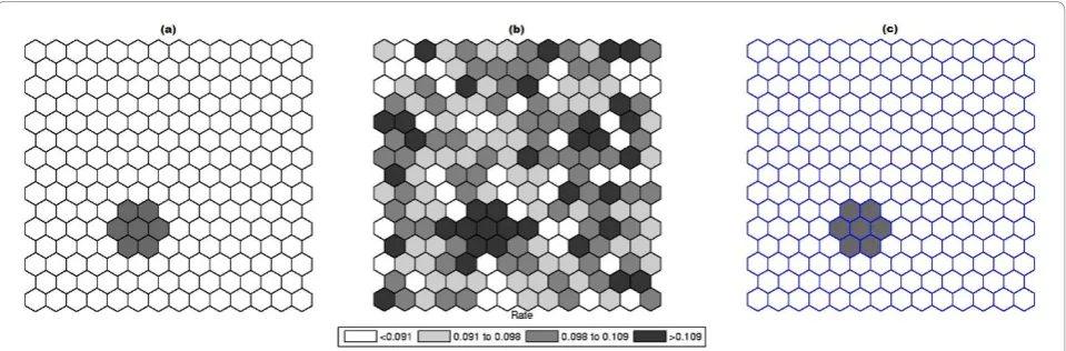 Figure 1 A single circularly shaped true artificial cluster with very high relative risk (a), the random generated cases map of rates (b),and the cluster detected by the circular scan (c).