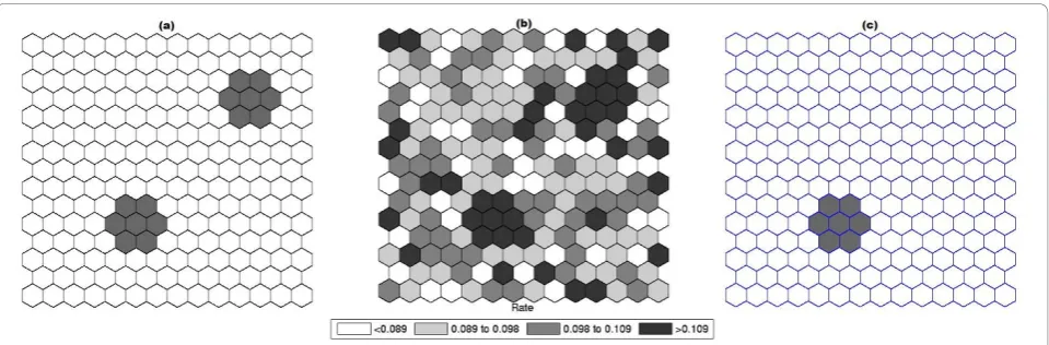 Figure 7 A double circularly shaped true artificial cluster with very high relative risk (a), the random generated cases map of rates (b),and the cluster detected by the circular scan (c).