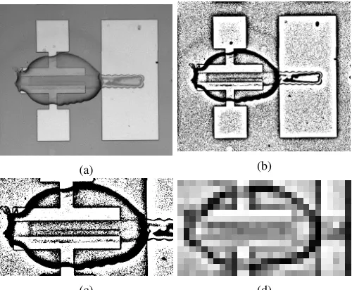 Figure 4: A printed transistor image (a) original, (b) prepro-cessed, (c) aligned (d) downscaled (downscaling factor=22).