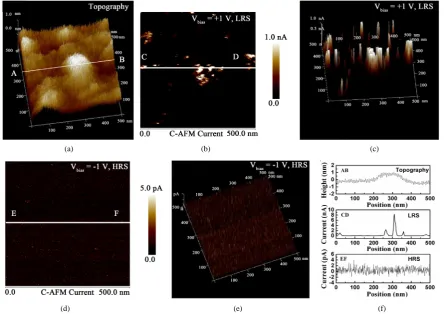 Figure 4. (a) Schematics of C-AFM measurement. Current mapping images in 2D (b) and 3D (c) including the above half area with positive bias voltage of +1 V and the other half with negative bias voltage of −1V, respectively