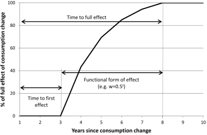 Figure 1: Time lag specifications for the effect of consumption change on harm 