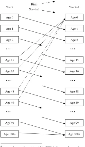 Figure 2 The cohort-component method of population projection 
