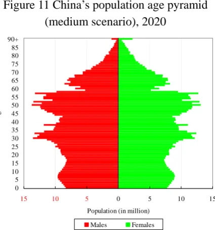 Figure 12 China’s population age pyramid 