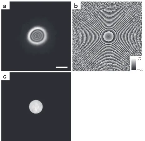 Figure 6 | Transverse profile of the probe modulus along the optic axis of the microscope