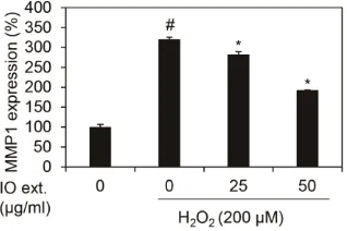 Figure 2. Effects of extracts of Inonotus Obliquus on MMP1 mRNA expression in human 