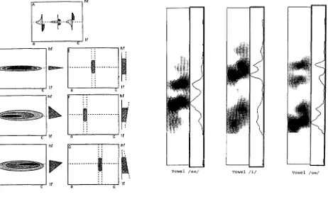 Figure 2: Spectral Representation in the Auditory Cortex: (left top) Profiles of Receptive Fields in AI (left bottom) Response Patterns Elicited by Different Spectral Peaks