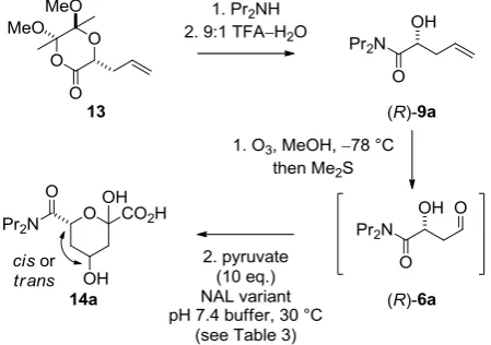Table 3. Kinetic and thermodynamic stereoselectivity of aldol reactions catalysed by NAL variants