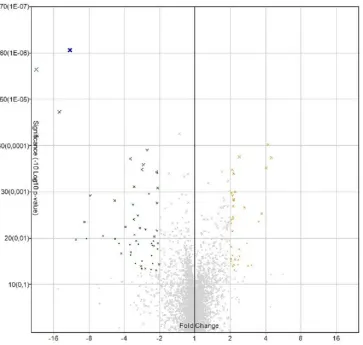 Table 1. Descriptive analysis. *TNM stage was not determined in one of 16 cases. 