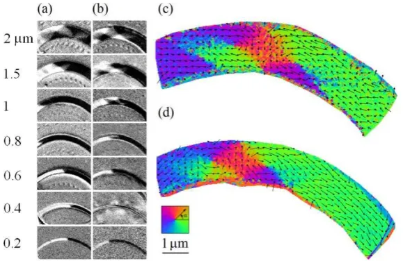 Figure 3 – (colour online) PEEM images of domain wall structure as a function of 