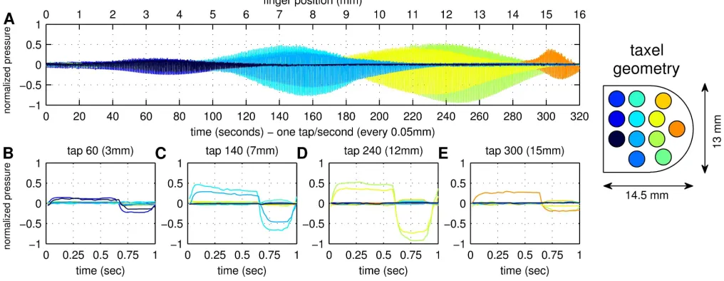Fig. 2.(A) Fingertip pressure data recorded as the ﬁnger taps against a test rod (diameter 4 mm) at a constant frequency of 1 tap/sec